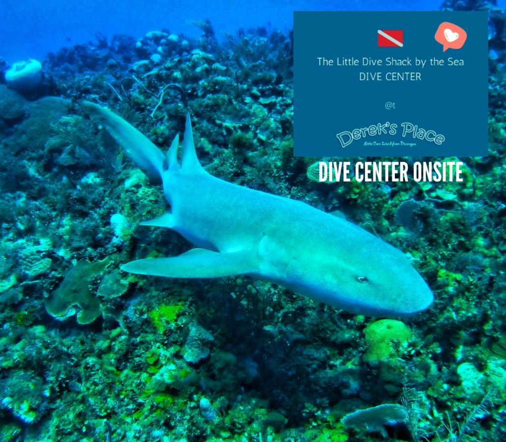 Derek'S Place Eco-Lodge Pulau Little Corn Bagian luar foto