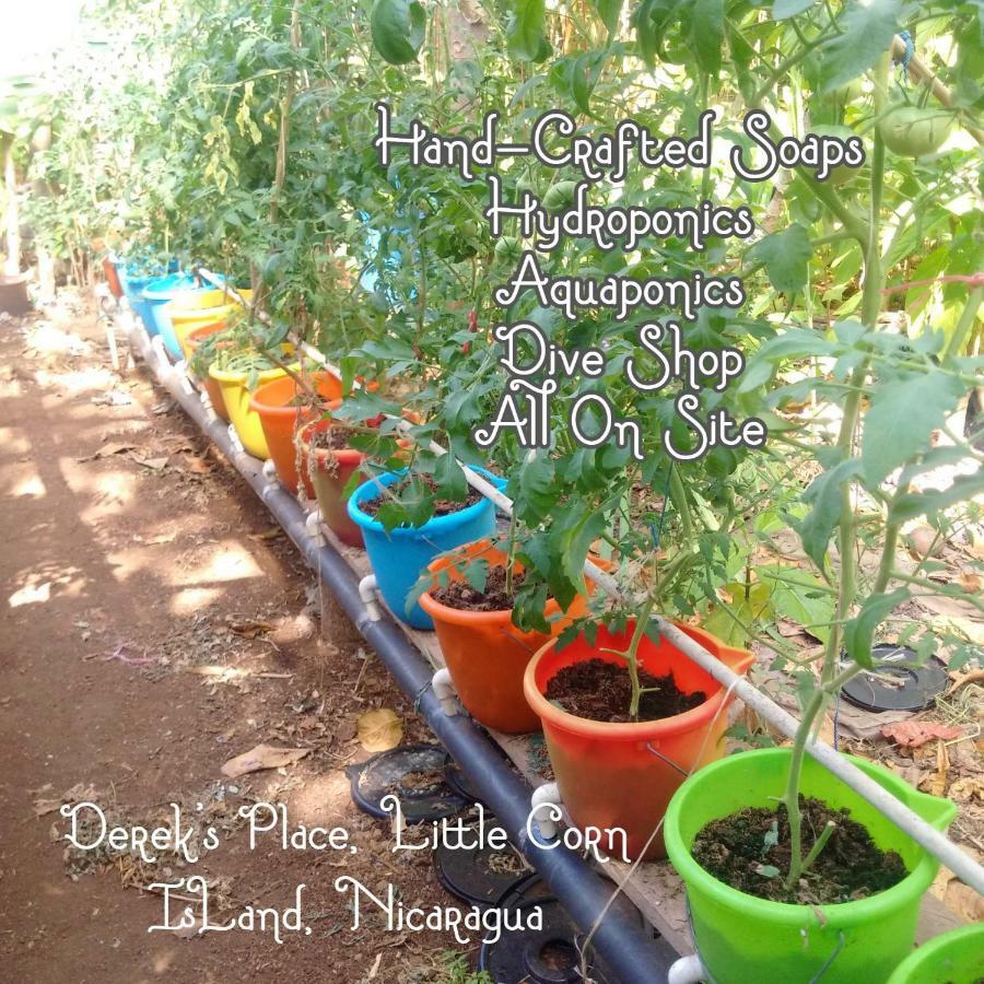 Derek'S Place Eco-Lodge Pulau Little Corn Bagian luar foto