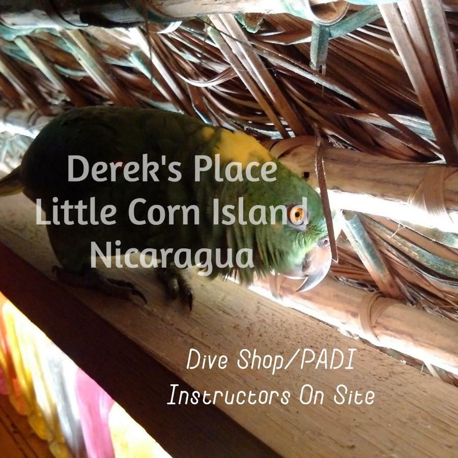 Derek'S Place Eco-Lodge Pulau Little Corn Bagian luar foto